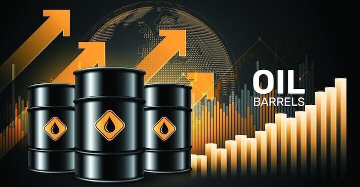 Drop In Petroleum Products Importation Indicates Nigeria’s Emergence As New Global Economic Power -TDF