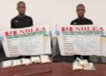 NDLEA Intercepts Colorado, Loud, Tramadol Consignments In Gas Cylinder In Kano, Kogi