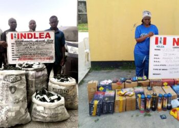 NDLEA Arrests Four Members Of Trans-border Drug Trafficking Syndicate