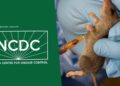 In Nigeria, Lassa Fever kills 118 Persons In Three Months
