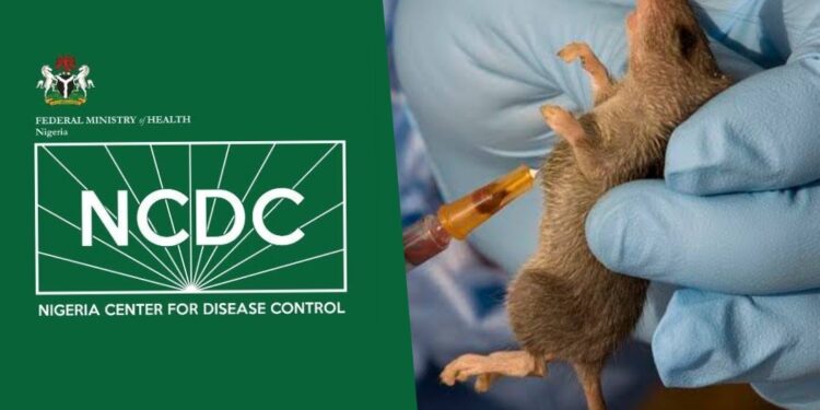 In Nigeria, Lassa Fever kills 118 Persons In Three Months