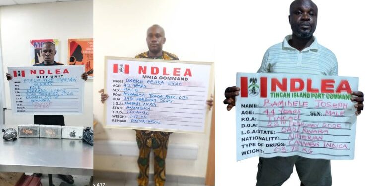 Angolan Businessman Nabbed For Drug Trafficking In Kano, Excretes 120 Wraps Of Cocaine