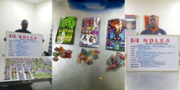 NDLEA Nabs Motor Spare Parts Dealer Over 77.50kg Cocaine