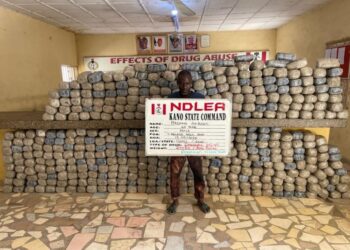 NDLEA Busts Illicit Cocaine, Opiod Shipments To US, Saudi Arabia, Poland, Italy