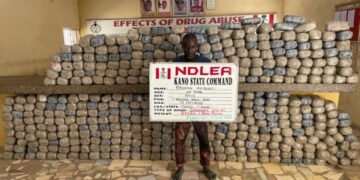 NDLEA Busts Illicit Cocaine, Opiod Shipments To US, Saudi Arabia, Poland, Italy