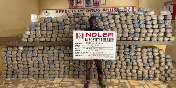 NDLEA Busts Illicit Cocaine, Opiod Shipments To US, Saudi Arabia, Poland, Italy