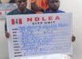 Two Brothers Arrested At Lagos Airport While Attempting To Smuggle 5-kg Cocaine To India