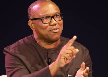 Peter Obi’s Understanding, Analysis Of National Economy Pedestrian, Simplistic – IMPI