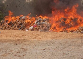 NDLEA Destroys 1.6mkg Illicit Drugs, Largest Seized Cocaine, Heroin Across Lagos, Ogun, Oyo States