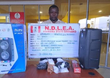NDLEA Intercepts 2.700kilograms Drugs Concealed In Two Music Speakers In Adamawa