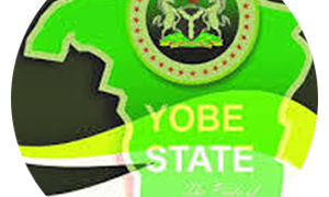 2027 : THE DISTURBING ETHNIC SING SONG FROM YOBE By Modu Zanna