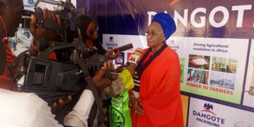 Food Security : Dangote Building Nigeria’s Largest Rice Mill In Niger, Backs Food Initiative