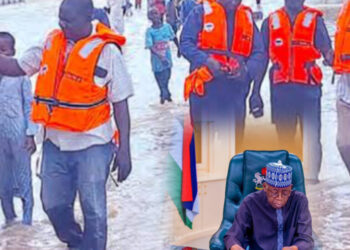 Niger Flood Disaster : President Tinubu Orders NEMA, NEPC To Commence Operations