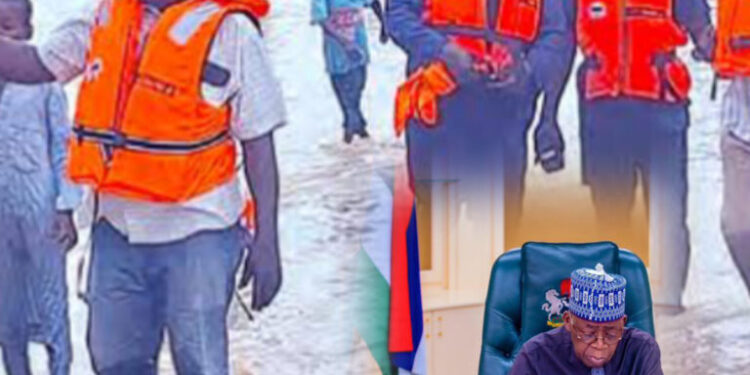 Niger Flood Disaster : President Tinubu Orders NEMA, NEPC To Commence Operations
