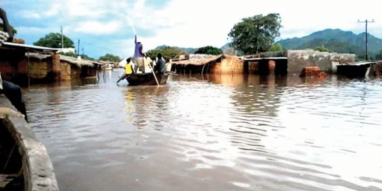 Death Toll From Niger Flood Disaster Rises To 115,  Many Still Missing – NSEMA