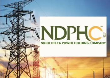 NDPHC Says Attempts To Achieve Energy Inclusion Facing Frustration, Laments Dwindling Offtake By DISCOs