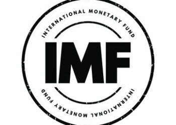 Your 3% Economic Growth Forecast Falls Short Of Nigeria’s Potential, IMPI Tells IMF