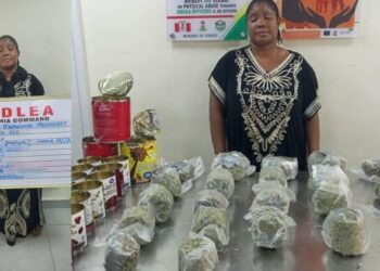 NDLEA Seizes N3.4billion Worth Of Opioids In Lagos, Port Harcourt