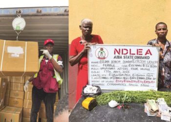 NDLEA Intercepts N3.2bln Drugs At Lagos, Port Harcourt Ports