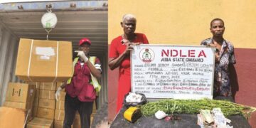 NDLEA Intercepts N3.2bln Drugs At Lagos, Port Harcourt Ports