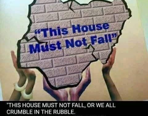 CAN’T WE BUILD A VIRILE NATION NIGERIA? by Taiye Olaniyi