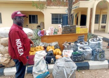 NDLEA Nabs 129 Suspects, Seize 282.3kg Illicit Drugs In Kogi