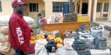 NDLEA Nabs 129 Suspects, Seize 282.3kg Illicit Drugs In Kogi