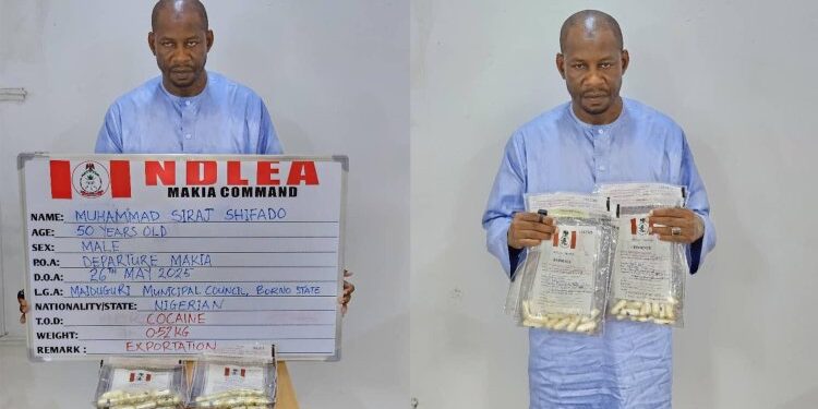 NDLEA Arrests Three Kano – based Drug Barons Behind Smuggling Of Cocaine To Saudi Arabia