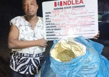 NDLEA Intercepts 66 Parcels Of Illicit Drug packaged As Green Tea At Lagos Airport