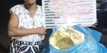 NDLEA Intercepts 66 Parcels Of Illicit Drug packaged As Green Tea At Lagos Airport