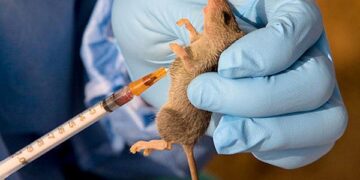 NCDC Confirms 142 Lassa Fever Deaths, 747 Cases Across 18 States