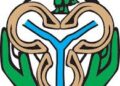 FG To Raise N1.76trillion Through Sale Of Treasury Bills In Q3, 2025