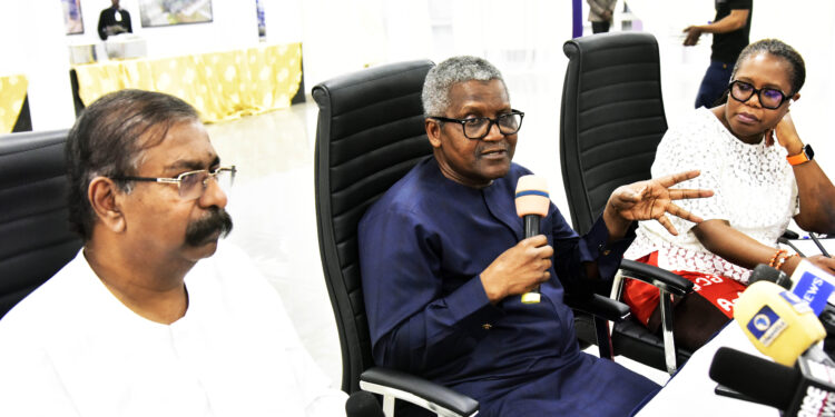 Africans In Position To Develop Africa, Dangote Tells Global CEOs