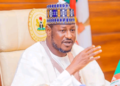 Majority Of Bandits In Katsina Are Locals, Not Foreigners – Governor Radda