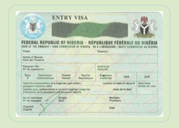 President Tinubu Never Stopped Five-year Non-Immigrant Visa For US Citizens