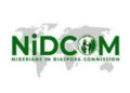 NIDCOM Condemns Brutal Killing Of Two Nigerians In South Africa