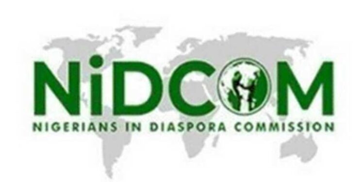 NIDCOM Condemns Brutal Killing Of Two Nigerians In South Africa