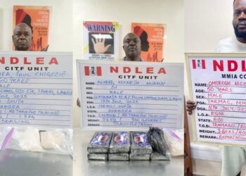 Seven Years After, NDLEA Nabs Wanted Drug Kingpin With 11.6kg Cocaine, Meth