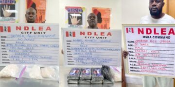Seven Years After, NDLEA Nabs Wanted Drug Kingpin With 11.6kg Cocaine, Meth