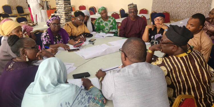 Kwara Pushes For A Stronger Collaboration To End SGBV, FGM