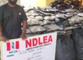 NDLEA Secures Conviction Of Two Drug Kingpins, Emami, Akpomuai, To Spend 10-yrs In Prison