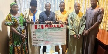 Kano Drug Kingpin, Five  Others In NDLEA Custody Over Arrest Of Three  Nigerians In Saudi Arabia