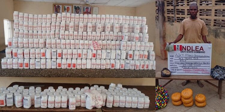 NDLEA Nabs 75-year-old Grandpa In Anambra With 26.7kg Skunk