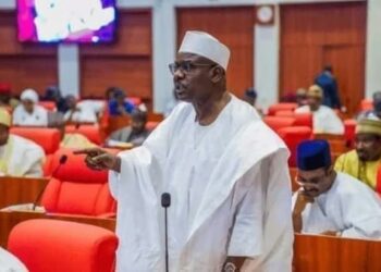 Group Knocks Senator Ali Ndume Over Comment On PENGASSAN-Dangote Feud