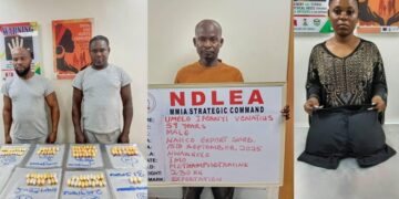 NDLEA Arrests Two Nigerians On Arrival From Brazil With 116 Wraps Of Cocaine, Heroin
