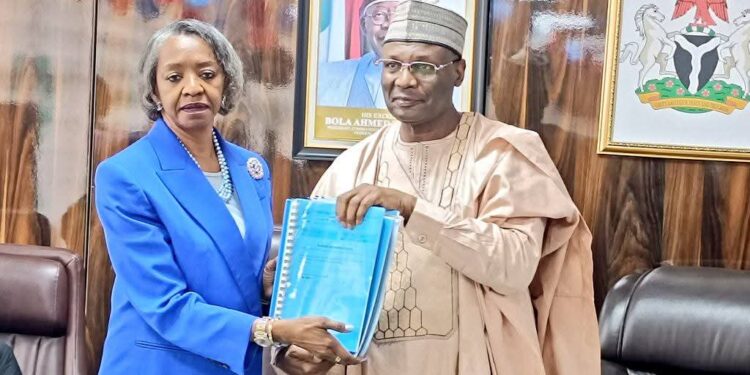 Acting Chairman Of INEC,  Agbamuche-Mbu, Promises To Uphold Standards, Integrity , Professionalism