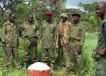 Insecurity : Kwara Recruits 2,600 Forest Guards