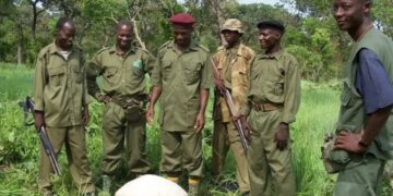 Insecurity : Kwara Recruits 2,600 Forest Guards