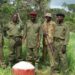 Insecurity : Kwara Recruits 2,600 Forest Guards