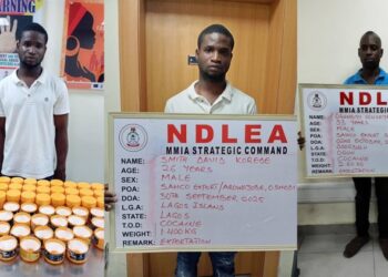 NDLEA Smashes Cartels Behind Six Shipments Of Cocaine To UK, Arrest Baron, Five Other Suspects